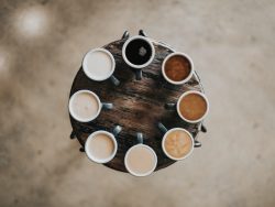 Multiple Diversity of Top-Management-Teams and Boards